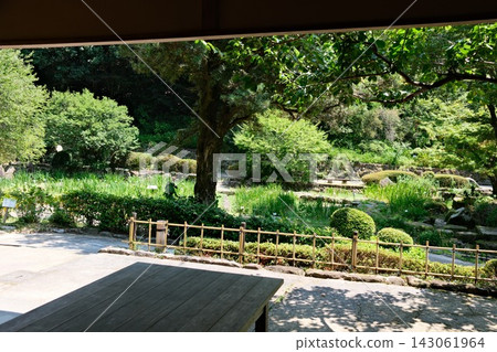 View of the Japanese garden within the botanical garden View of the Japanese garden within the botanical garden 143061964