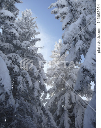 Snowy landscape at Hornle Mountain, alpine foothills in Bavaria, Germany Snowy landscape at Hornle Mountain, alpine foothills in Bavaria, Germany 143062034