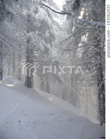 Snowy landscape at Hornle Mountain, alpine foothills in Bavaria, Germany Snowy landscape at Hornle Mountain, alpine foothills in Bavaria, Germany 143062035