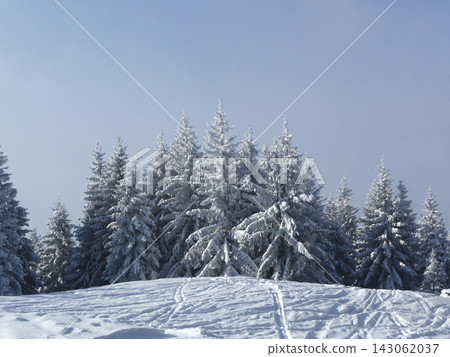 Snowy landscape at Hornle Mountain, alpine foothills in Bavaria, Germany Snowy landscape at Hornle Mountain, alpine foothills in Bavaria, Germany 143062037