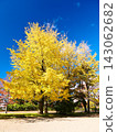 Autumn at Sendai Nishi Park (Sendai City, Miyagi Prefecture) 143062682