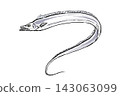 Color illustration of a hairtail fish; hand-drawn brushstroke style fish material. 143063099