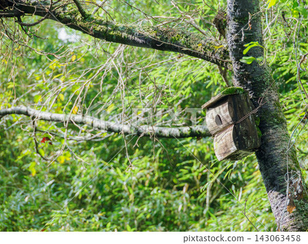 Wooden birdhouses installed in trees in the forest Wooden birdhouses installed in trees in the forest 143063458
