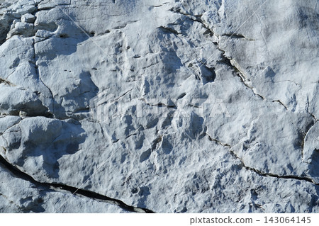 Nagano Prefecture, Ooshika Village - Sedimentary rock - Limestone Nagano Prefecture, Ooshika Village - Sedimentary rock - Limestone 143064145