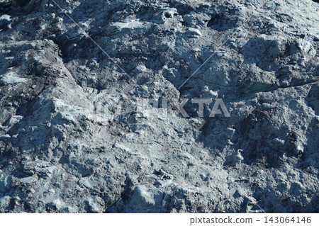 Nagano Prefecture, Ooshika Village - Metamorphic rock - Greenstone (weakly metamorphic oceanic basalt) Nagano Prefecture, Ooshika Village - Metamorphic rock - Greenstone (weakly metamorphic oceanic basalt) 143064146