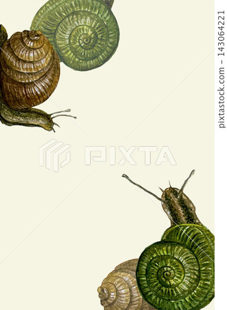 Watercolor snail greeting card Watercolor snail greeting card 143064221