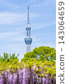 龜戶天神神社和東京晴空塔的紫藤花架 143064659