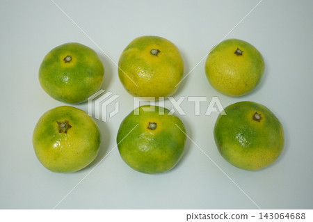 High-resolution stock image of six green mandarins arranged in two rows against a white background, suitable for use as an autumn fruit photograph. High-resolution stock image of six green mandarins arranged in two rows against a white background, suitable for use as an autumn fruit photograph. 143064688
