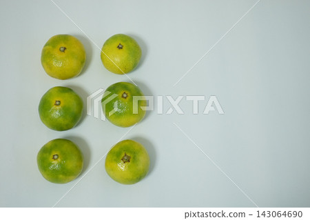 High-resolution stock image suitable for use as a photograph with six green oranges lined up on the left side of a white background, with a margin on the right. High-resolution stock image suitable for use as a photograph with six green oranges lined up on the left side of a white background, with a margin on the right. 143064690