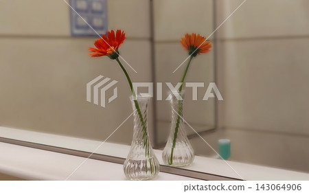 商場洗手間鏡子前的花 商場洗手間鏡子前的花 143064906