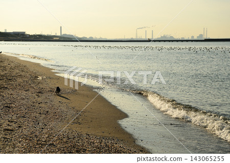 英格蘭公園 英格蘭公園 143065255