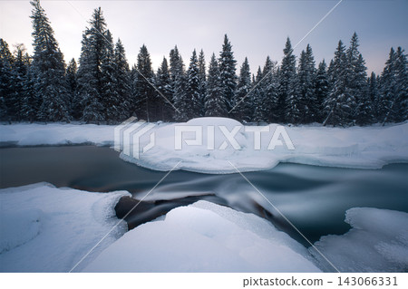 The Kanas River flows beneath the winter coniferous forest. The Kanas River flows beneath the winter coniferous forest. 143066331