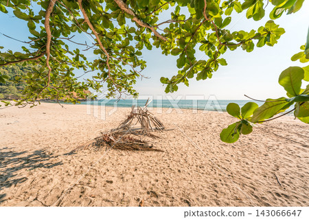 蘭塔島海灘上的浮木和綠色樹冠 蘭塔島海灘上的浮木和綠色樹冠 143066647