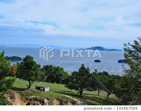 View of Harima Sea from Manyo Cape Camellia Garden View of Harima Sea from Manyo Cape Camellia Garden 143067009