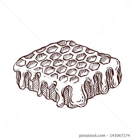 Honeycomb piece covered with dripping honey, hand drawn pen, ink vector illustration for artisan honey packaging, apiary labels, beekeeper branding, organic food brand identity, farm market products Honeycomb piece covered with dripping honey, hand drawn pen, ink vector illustration for artisan honey packaging, apiary labels, beekeeper branding, organic food brand identity, farm market products 143067174