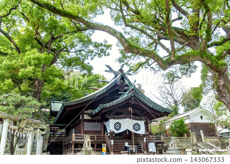 Onomichi's Ushitora Shrine: A historic shrine surrounded by giant camphor trees (Onomichi City, Hiroshima Prefecture) Onomichi's Ushitora Shrine: A historic shrine surrounded by giant camphor trees (Onomichi City, Hiroshima Prefecture) 143067333