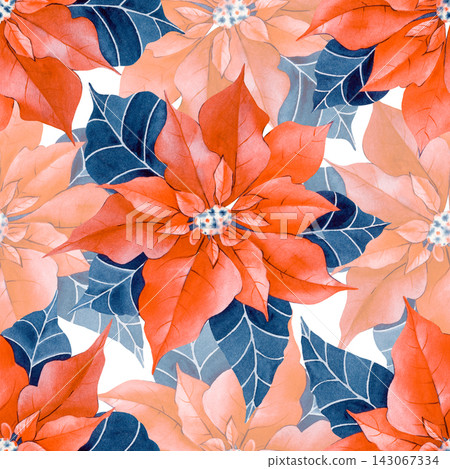 Winter holiday seamless pattern with watercolor poinsettia flowers in red tones with dark blue leaves over on a isolated background. For festive gift wrapping paper, greeting cards, and textile design 143067334