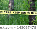 Forest in the background and caution tape. 143067478
