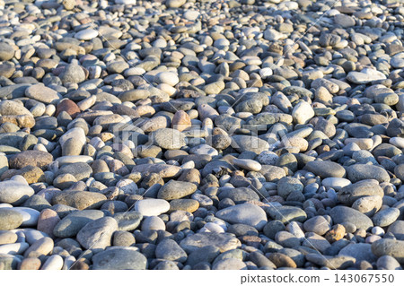 Close-up texture of smooth multi-colored sea pebbles on a coastal beach. 143067550