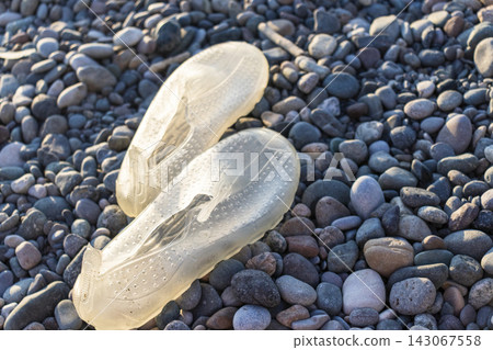Close-up view of a pair of translucent rubber water shoes resting on a rocky pebble beach. Close-up view of a pair of translucent rubber water shoes resting on a rocky pebble beach. 143067558