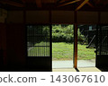 A lush garden viewed from inside a traditional Japanese house. 143067610