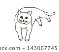 Lying cat 143067745