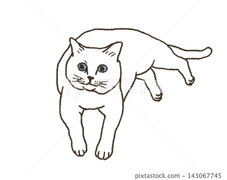 Lying cat Lying cat 143067745