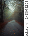 Foggy And Mysterious Road Inside The Woodland 143068208