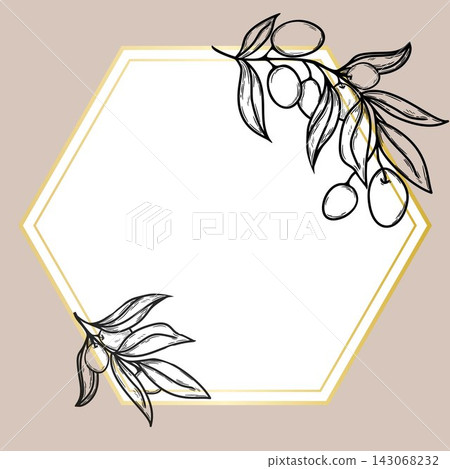 Vector hexagonal frame with golden line and olive branch sketch. Elegant template for social media post, label design, and wedding invitation. Vector hexagonal frame with golden line and olive branch sketch. Elegant template for social media post, label design, and wedding invitation. 143068232