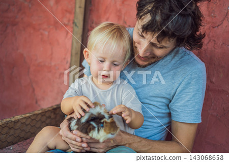Toddler gently handles a guinea pig with his father's help. Gentle handling and learning about pet care. Toddler gently handles a guinea pig with his father's help. Gentle handling and learning about pet care. 143068658