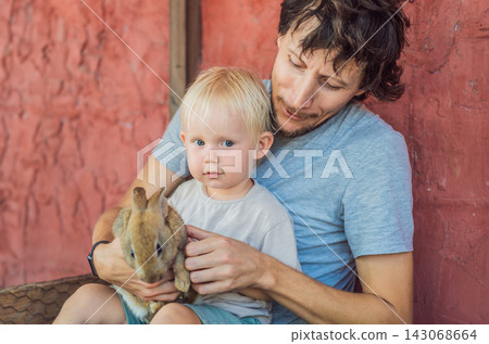 Father helps his toddler hold a brown rabbit at a petting farm. Early childhood learning through animal encounters. Father helps his toddler hold a brown rabbit at a petting farm. Early childhood learning through animal encounters. 143068664