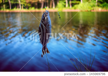 Fishing in India. Coral fish - sea fishing from shores Fishing in India. Coral fish - sea fishing from shores 143069796