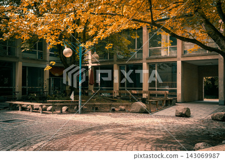 Quiet Tree Covered Courtyard with Cobblestone Pavement Quiet Tree Covered Courtyard with Cobblestone Pavement 143069987