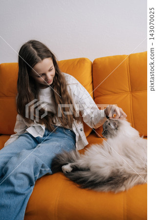 Tender moment as young girl with long brown hair gently strokes fluffy siberian cat, sitting together on vibrant orange couch in modern home. Calm, loving atmosphere showcasing human animal bond. 143070025