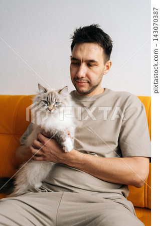 Portrait of elegant neva masquerade cat resting comfortably on male owner lap, sitting on orange sofa, sharing tranquil moment of companionship and coziness in home domestic setting. Portrait of elegant neva masquerade cat resting comfortably on male owner lap, sitting on orange sofa, sharing tranquil moment of companionship and coziness in home domestic setting. 143070387