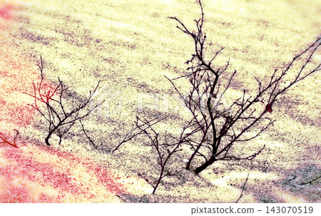 winter magic in nature. 143070519