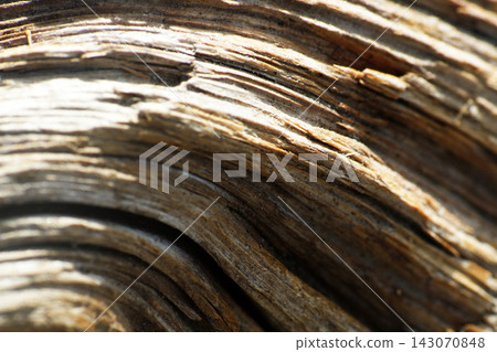 Wood Texture, Wooden Grain macro Background. Wood Texture, Wooden Grain macro Background. 143070848