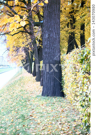 Autumn in the Park and on the streets, Autumn in the Park and on the streets, 143070980