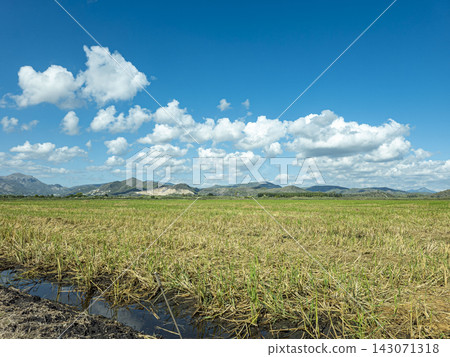 Panoramic view of harvested rice fields with water channels and mountains under a scattered cloud sky Panoramic view of harvested rice fields with water channels and mountains under a scattered cloud sky 143071318
