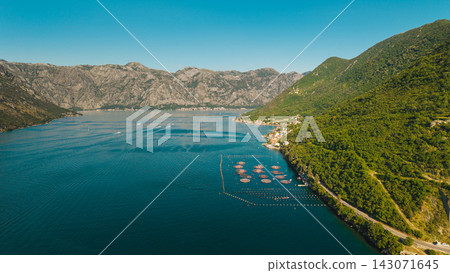Aerial Marine Fish Farm in Donji Stoliv on the Bay of Kotor 143071645