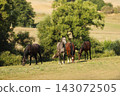 Herd of young sport horses galloping on summer meadow 143072505