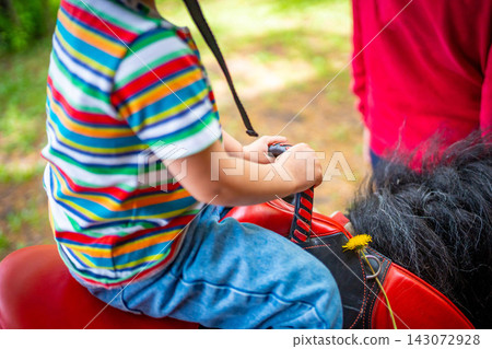 Beautiful little girl riding pony horse, view of holding with hands Beautiful little girl riding pony horse, view of holding with hands 143072928