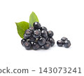 Aronia berries with leaves on white backgrounds 143073241