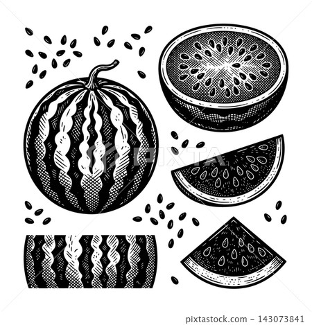 Vintage watermelon fruit illustration with seeds and slices Vintage watermelon fruit illustration with seeds and slices 143073841