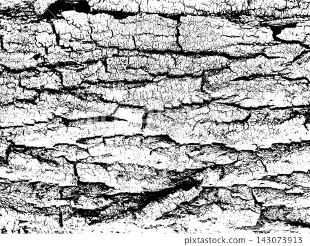 Dark cracked tree bark with coarse layered grain and rugged texture Dark cracked tree bark with coarse layered grain and rugged texture 143073913