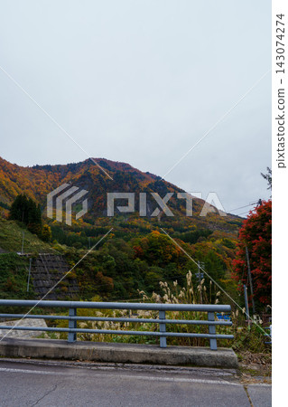 秋山鄉251031號住宅 秋山鄉251031號住宅 143074274