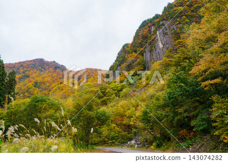 251031 秋山鄉不破 251031 秋山鄉不破 143074282