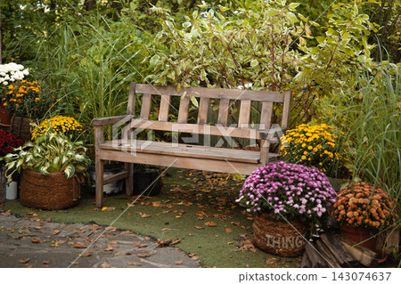 Rustic wooden bench surrounded by colorful chrysanthemums and lush greenery in a charming autumn garden. Rustic wooden bench surrounded by colorful chrysanthemums and lush greenery in a charming autumn garden. 143074637