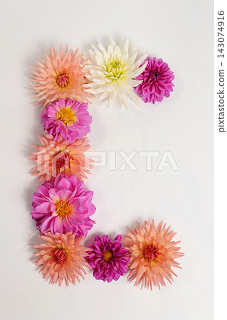 Letter C created from real, fresh dahlia flowers. Floral typography concept, floral font with colorful, vibrant flowers,A unique collection of letters and numbers for design. Creative idea for design Letter C created from real, fresh dahlia flowers. Floral typography concept, floral font with colorful, vibrant flowers,A unique collection of letters and numbers for design. Creative idea for design 143074916