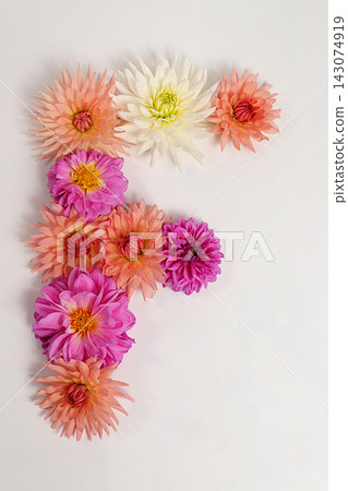 Letter F created from real, fresh dahlia flowers. Floral typography concept, floral font with colorful, vibrant flowers,A unique collection of letters and numbers for design. Creative idea for design Letter F created from real, fresh dahlia flowers. Floral typography concept, floral font with colorful, vibrant flowers,A unique collection of letters and numbers for design. Creative idea for design 143074919